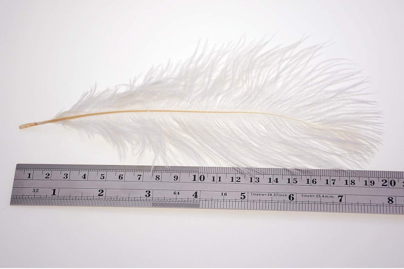 Wowlife 50Pcs 15-20cm Real Natural White Home Decor Ostrich Feathers Party Wedding Decorations Feather - Image 4